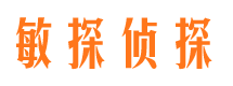 无极侦探调查公司